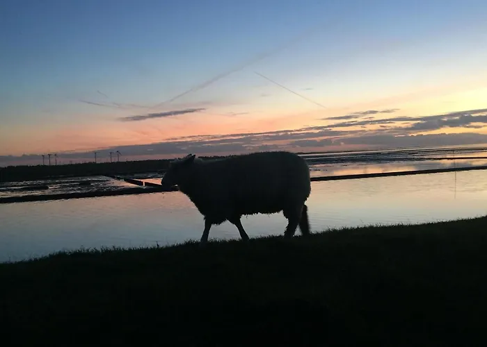 Apartment Klangwald Sylt House | *anker*